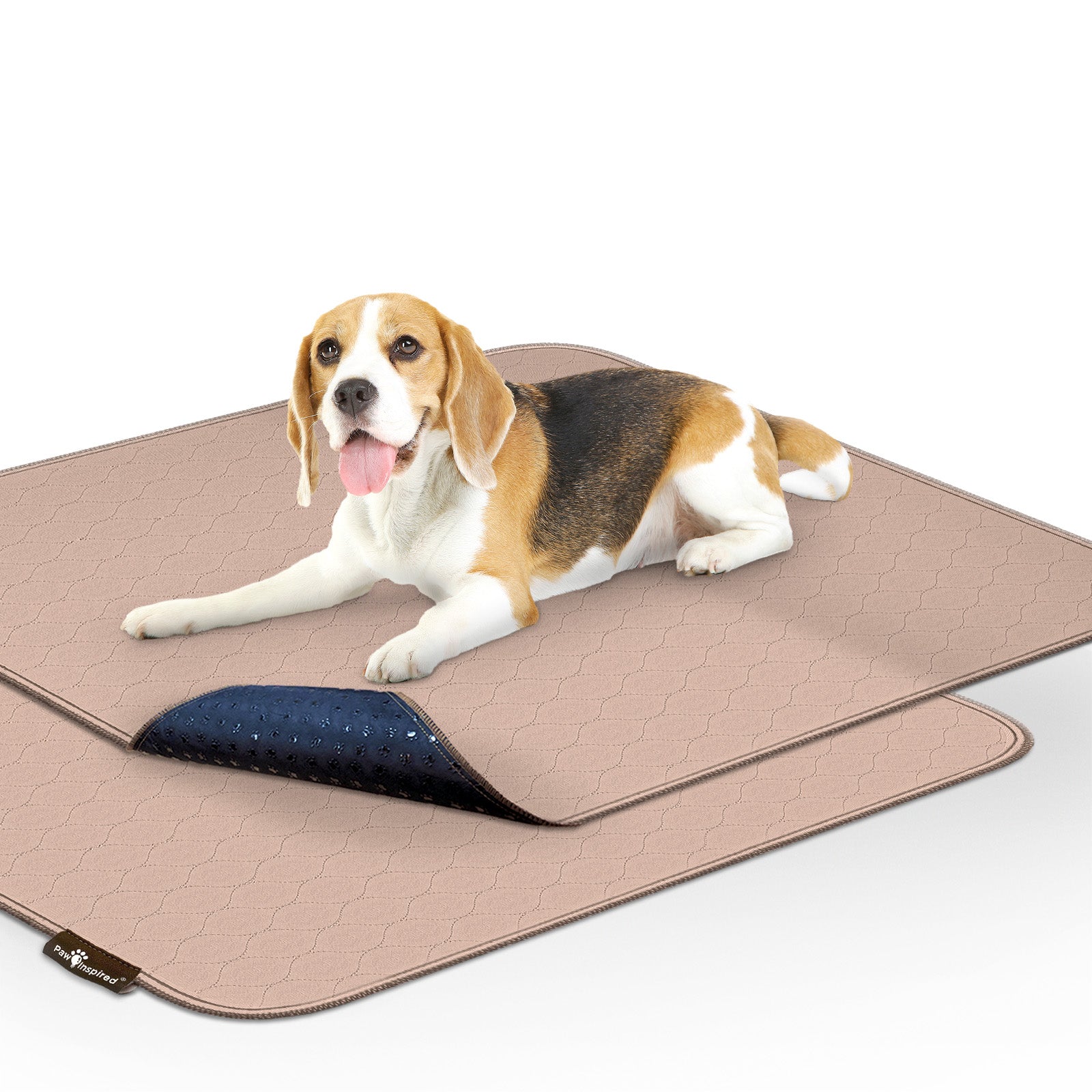 Training shops mat dog