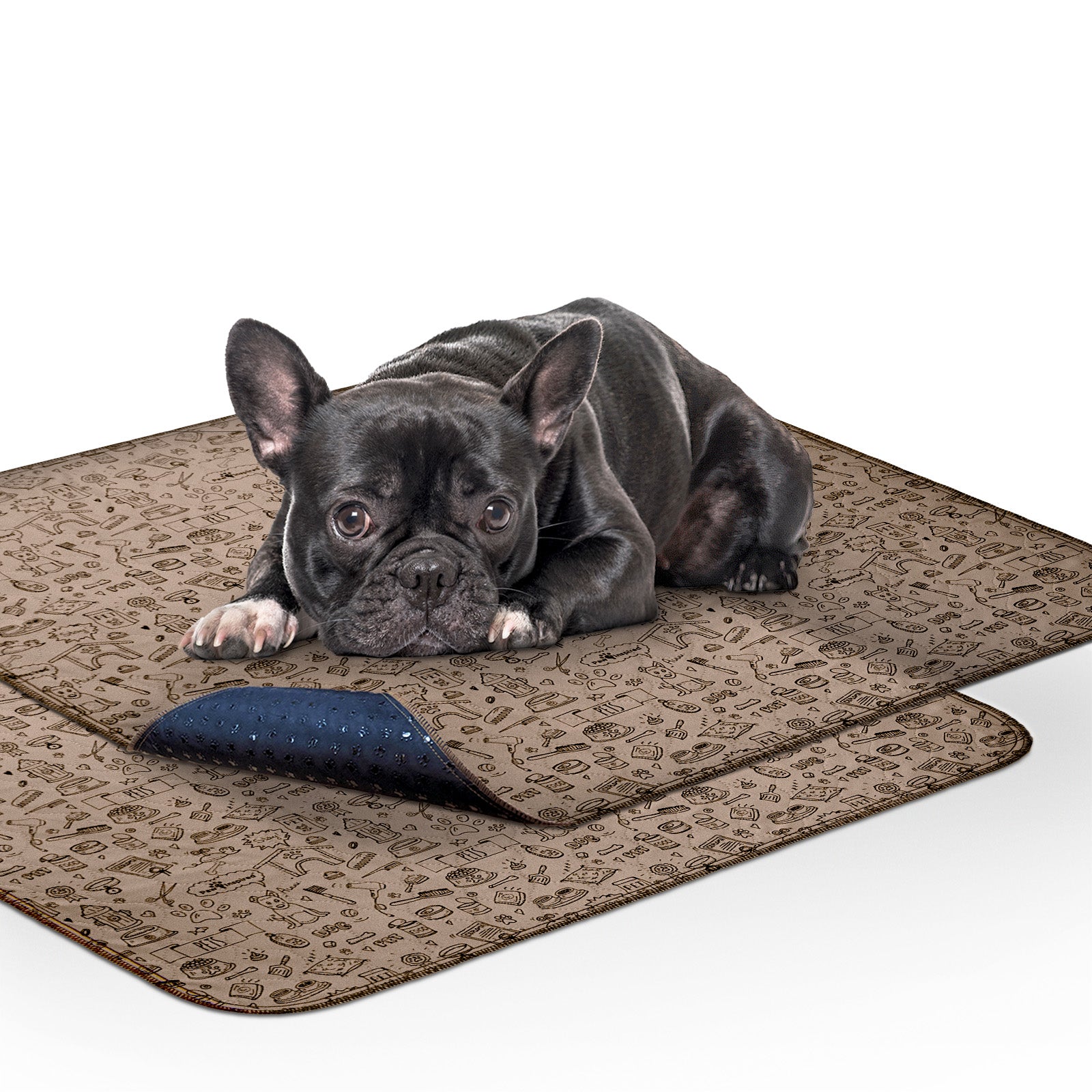 Large pet training fashion pads