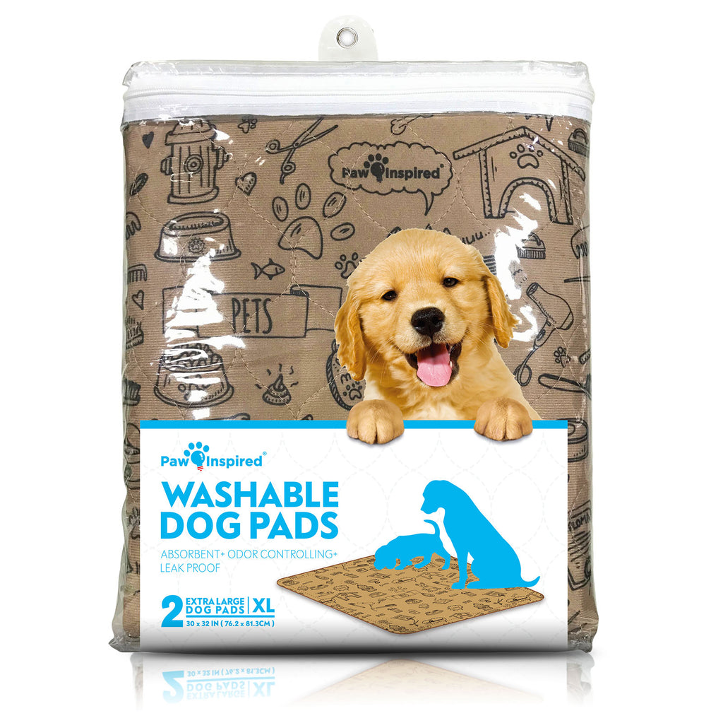 Disposable Training Pads vs Washable Reusable Puppy Pads